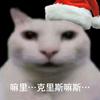 云游戏推荐