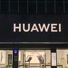 HUAWEI(黄园路一店)