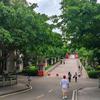 南京公办本地升学陈老师