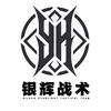 银辉战术-小辉辉