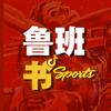 鲁班书（AI）