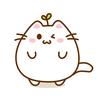 豆猫AI