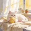 猫咪宝贝
