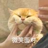中高考升学规划
