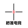 秒准电竞(无畏契约代陪)