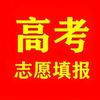 新高考志愿填报