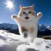 是小猫吖