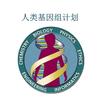 风中逝去的蒲公英