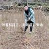 农科中药材专业合作社