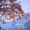 小美好