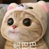 奶糖西西