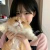 喜喜ye