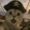 猫咪海盗