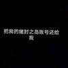 把我的猪肘之岛账号还给我(爱玩鳄鱼版)