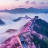 红桃
