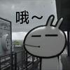 橘子