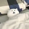 ˶˃ ᵕ ˂˵