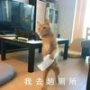 丹青墨竹