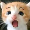玖