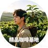 云南小粒咖啡普洱种植基地