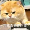 _补药蕉绿_