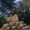 升学指导-李老师