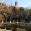 汪老师听风录