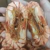 小陈海干货