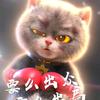 孤狼班长