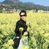 🍀阿华🍀《游击队》