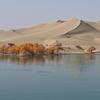mapchina
