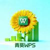 青葵WPS技巧