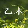 乙木子