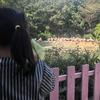 一鱼~