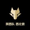 西北狼之声