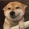 土狗漫剧