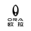 欧拉汽车｜安徽凯迪