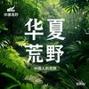 华夏荒野