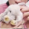 又又kty🤘