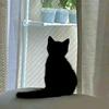 猪猪向前跑