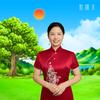 素说车牌