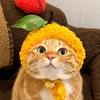 养猫看小珊