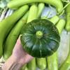 家里的小菜板