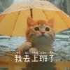 桃纸momo
