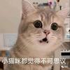 一纸短剧情