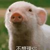 城西二迷糊