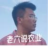 老六说农业