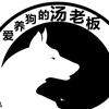 爱养狗的汤老板