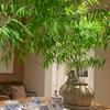 温暖的小屋（大叔授权号）