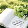 小美好贩卖机